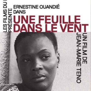 une feuille dans le vent